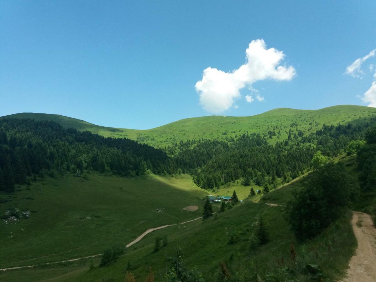 Lodge Eko Katun Damjanovic - Bjelasica *